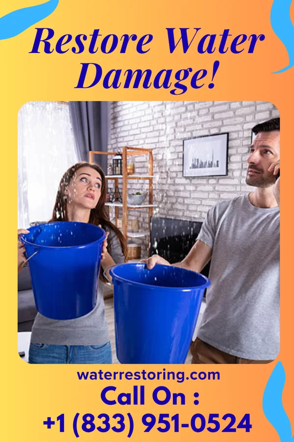 water restoration Sentinel Disaster Cleanup Team Defiance